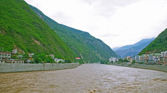 花兒飛出心窩窩