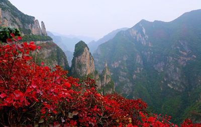 為神女峰買保險?且看三峽旅游一體化如何揚帆遠航