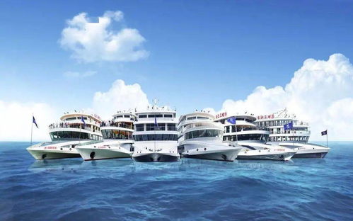 好家伙 宜昌航運企業(yè)的牛年大計