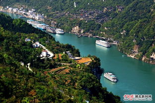 三峽旅游升溫，進出川游船增多